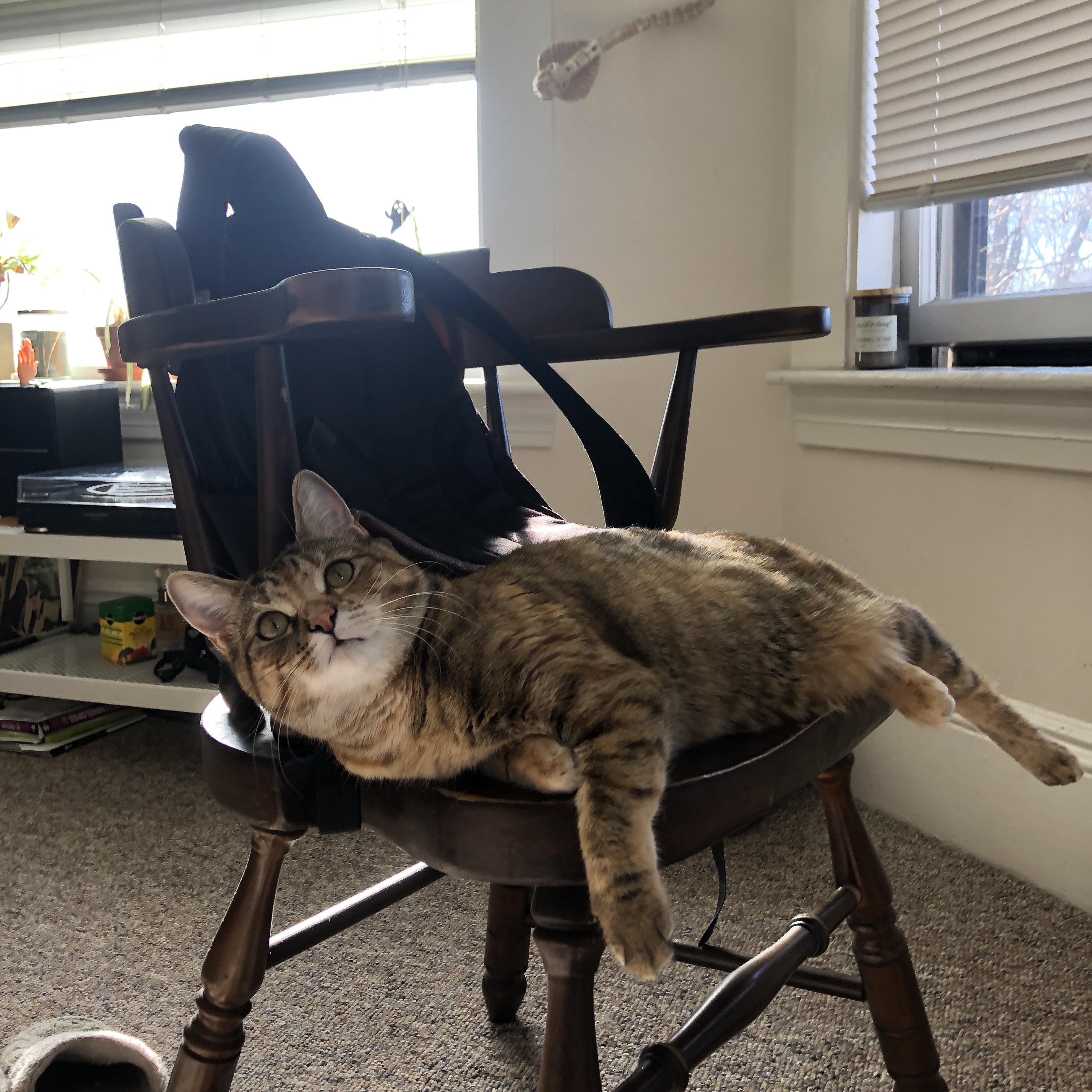 2025世俱杯赛程表-DOTA2解说评述：赛事精彩瞬间与战术深度解读，dota2解说排名