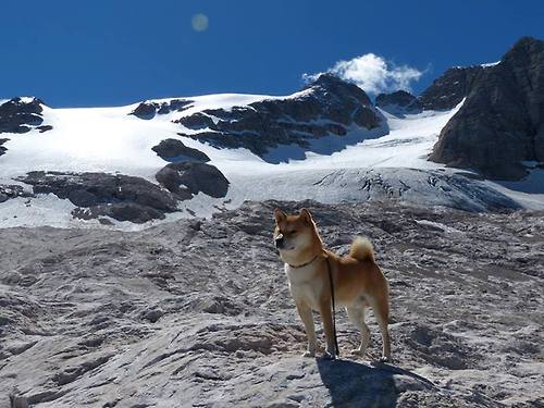 FIFA世俱杯-CS2 新秀表现获得认可，csgo新秀